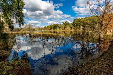 Renkli Creekfield gölde Brazos Bend Texas