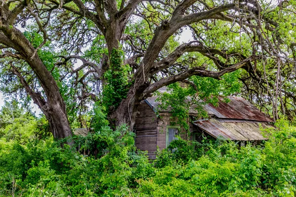 Dolda gamla övergivna Shack i Texas — Stockfoto