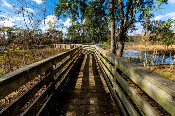 Quai de pêche sur un lac à Brazos Bend Texas — Photo