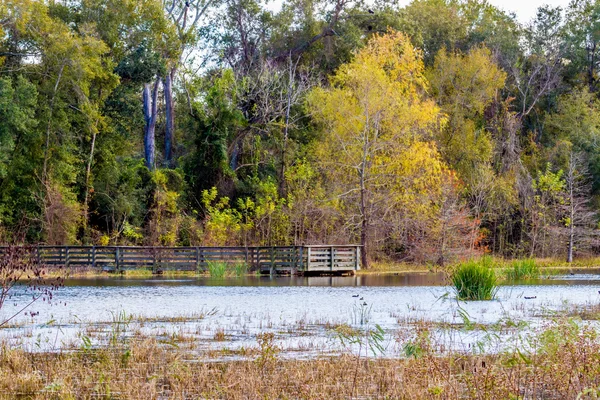 Colorful Creekfield Lake at Brazos Bend Texas — Stock Photo, Image