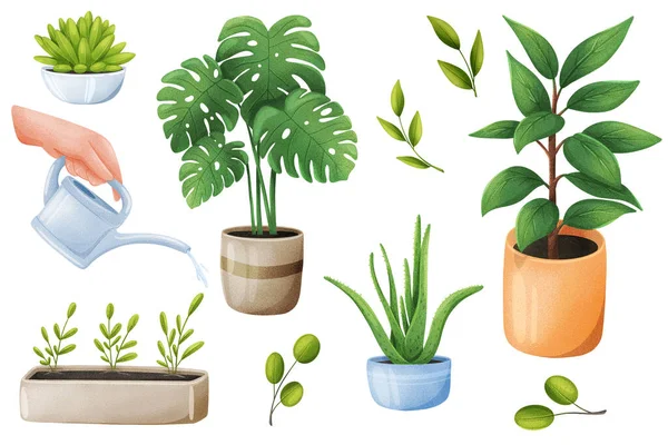 Green plants stickers set. Bundle of objects - potted houseplants, leaves, hand holding watering can. Gardening, greenery at home, planting. 3d illustration with isolated elements in realistic design — Photo