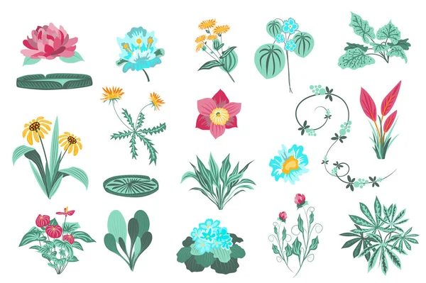 Blumen und Pflanzen isoliert Set. Garten und wildes Laub, grüne Blätter, blühende Wildblumen, blühende Pflanzen, schöne Kräuter. Bündel von floralen Elementen. Vektorillustration in handgezeichnetem Design — Stockvektor