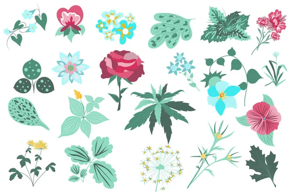 Bloem en planten geïsoleerd set. Rozen, groene bladeren, bloeiende wilde bloemen, bloeiende planten. Tuin en wild gebladerte botanische inrichting. Een bundel bloemenelementen. Vector illustratie in de hand getekend ontwerp — Stockvector