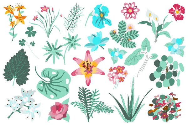 花や植物は隔離されたセット。ユリ、緑の葉、アロエ、野花を咲かせます。開花庭と野生の葉植物の装飾。花の要素のバンドル。手描きのベクターイラスト — ストックベクタ