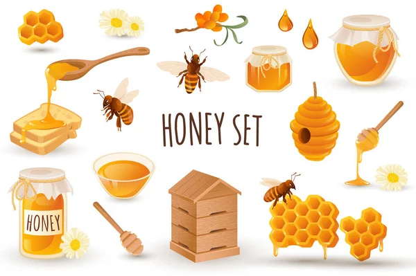 Icône de production de miel dans un design 3D réaliste. Bundle d'abeilles, nid d'abeille, rucher, pain grillé, ruche, pot avec du miel et d'autres. Collection apicole. Illustration vectorielle isolée sur fond blanc — Image vectorielle