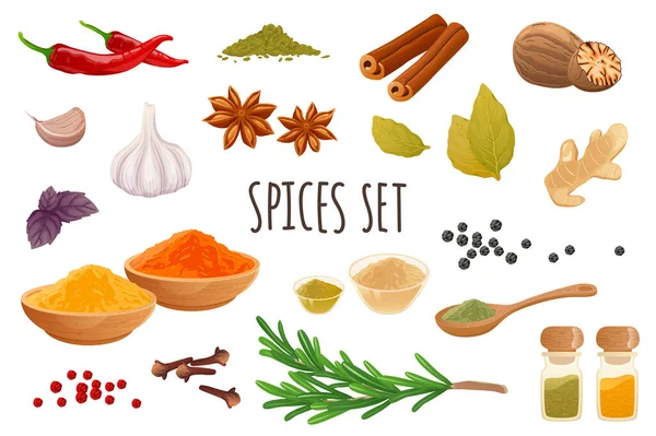 Icône d'épices dans un design 3D réaliste. Lot de piment, cannelle, ail, gingembre, romarin, noix de muscade, clous de girofle, anis étoilé et autres. Collection de cuisine. Illustration vectorielle isolée sur fond blanc — Image vectorielle