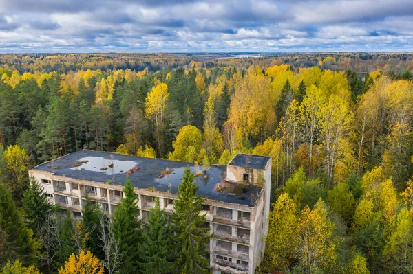 Abandoned building in middle of forest. Dilapidated building in autumn taiga. Abandoned house in Korela forest. Northern taiga with an old five-storey building. Top view of northern forest.