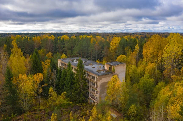 Abandoned building in the northern forest. Abandoned house is overgrown with trees. View of the forest with an empty multi-storey building. Landscape with a dilapidated building. Karelia. Russia.