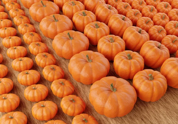 Pumpkin patch on wood floor. Pumpkins lying in even rows. Three-dimensional pumpkin background. Illustration symbolizes cultivation of gourds. Banner 3d on the topic of selling gourds.