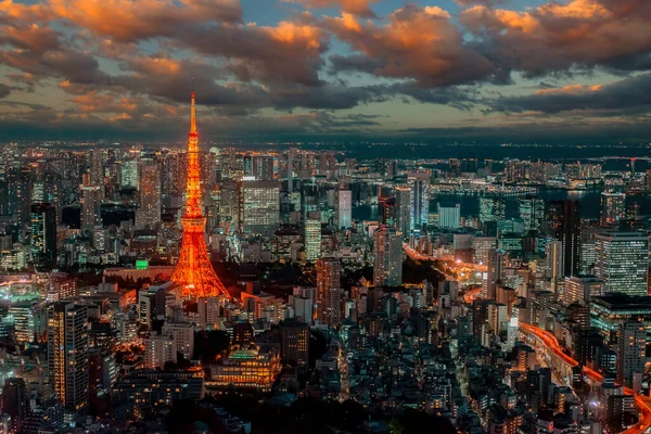 Tokyo sunset. Japan aerial view. Lights of evening Tokyo. Japan on a summer evening. Tour to the Japanese capital. Panorama of evening Tokyo. Tourism in Japan. Panorama asian cityscape