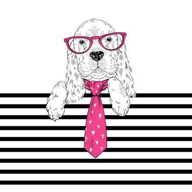 sevimli yavru köpek resmi