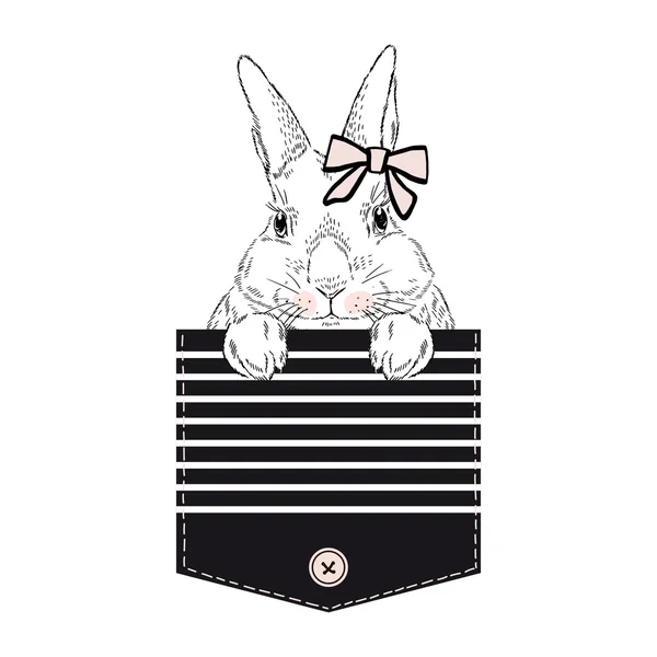 Lovely bunny girl in stripy pocket — Stock Vector