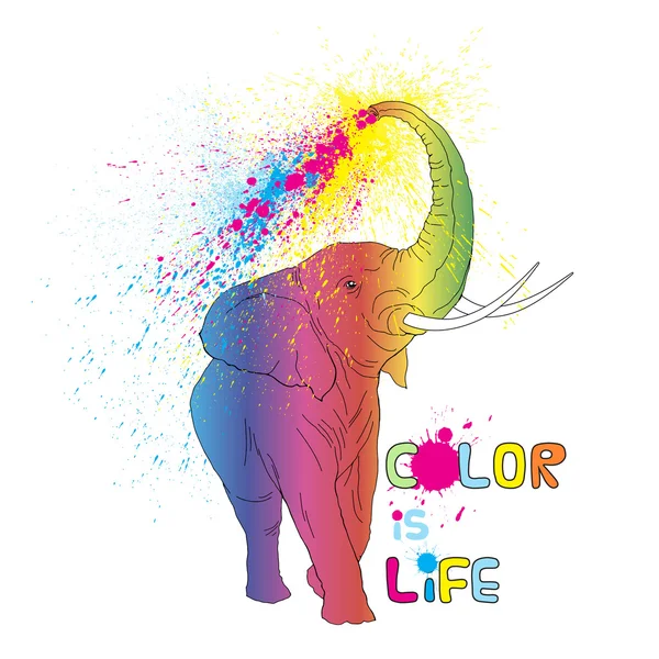 Illustration d'éléphant coloré — Image vectorielle