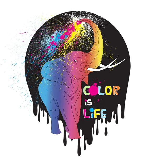 Illustration d'éléphant coloré — Image vectorielle