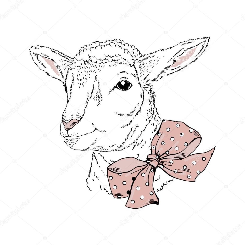 cute portrait of lamb