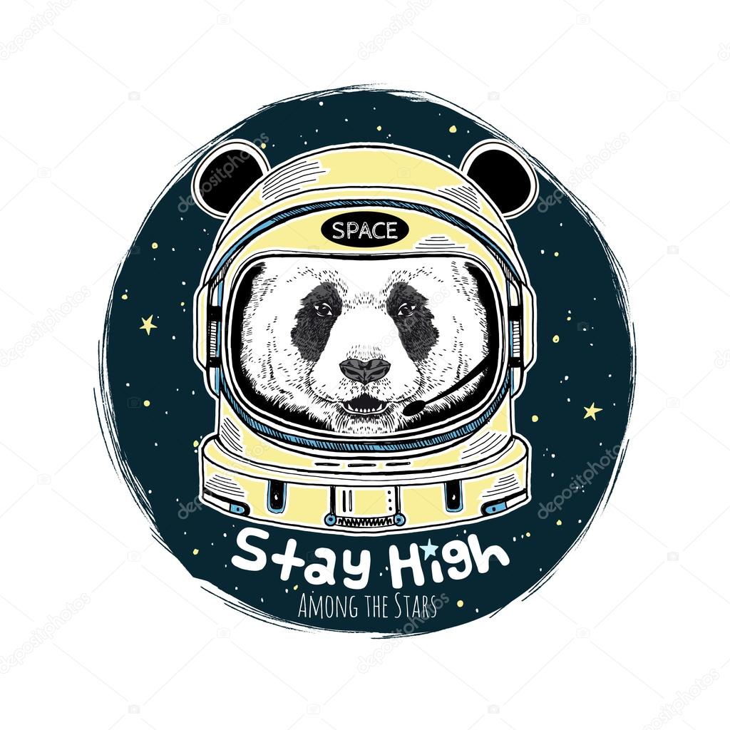 panda astronaut illustration