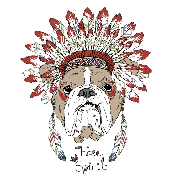 English bulldog in war bonnet — Stock Vector