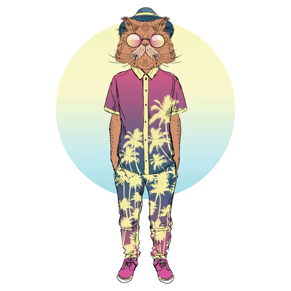 Перський кіт одягнений — стоковий вектор
