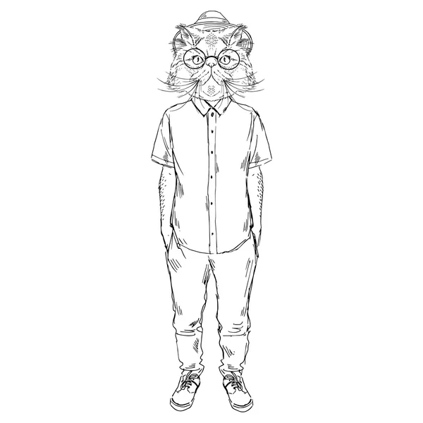 Перський кіт одягнений — стоковий вектор