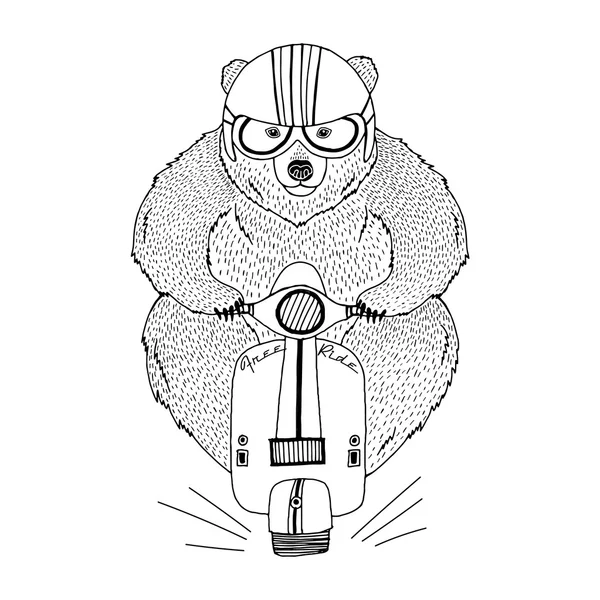 Καφέ αρκούδα οδήγησης σκούτερ — Διανυσματικό Αρχείο