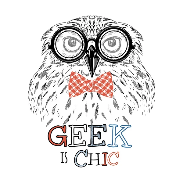 Geek baykuş portre — Stok Vektör