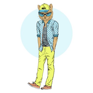 Casual tarzda giyinmiş kedi