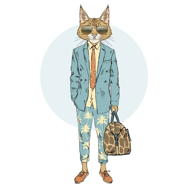 Kat man gekleed in zomer pak — Stockvector