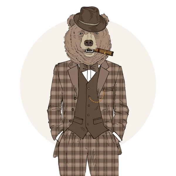 Homem urso vestido com terno tweed retro —  Vetores de Stock