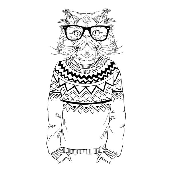 波斯猫打扮，穿上毛衣 — 图库矢量图片