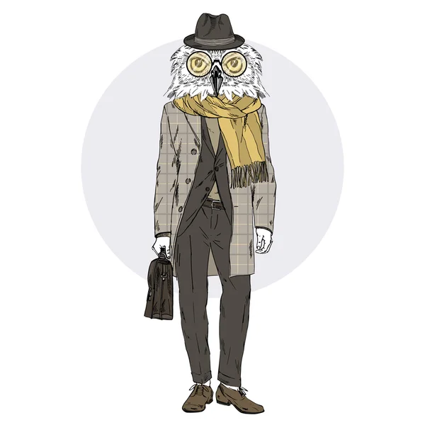 Hibou professeur en manteau — Image vectorielle