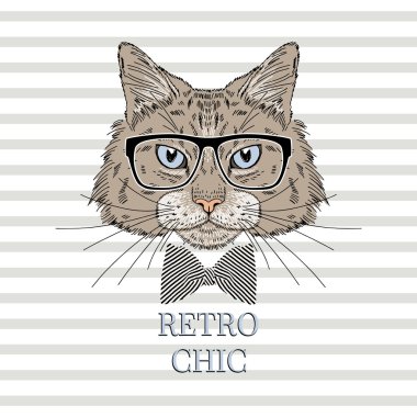  Akıllı kedi portresi