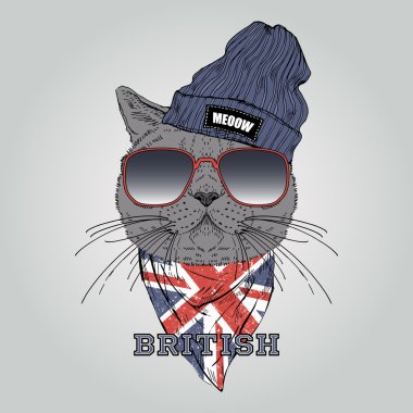 İngiliz shothair kedi 