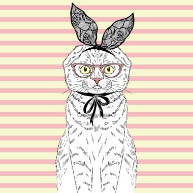 İskoç fold kedi moda portre