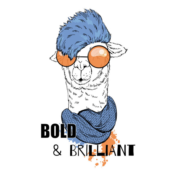 portrait of bold fashion llama