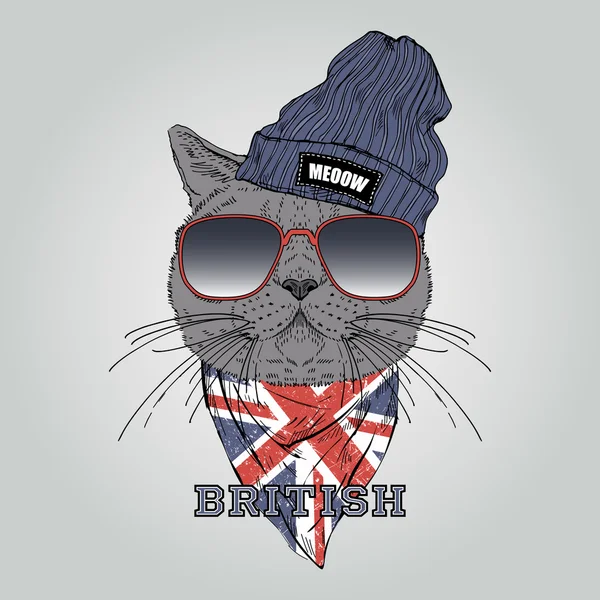İngiliz shothair kedi — Stok Vektör
