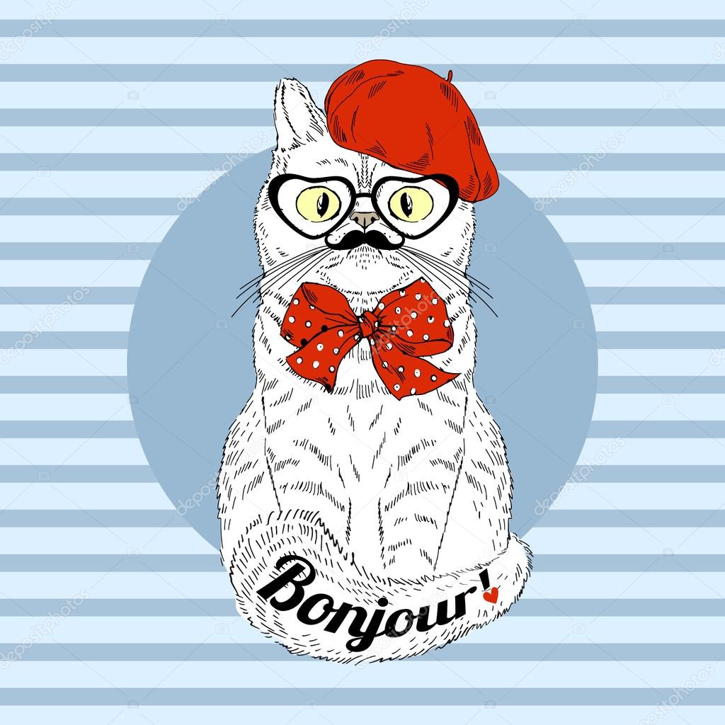 Gato adorável kawaii com estilo de roupa legal personagem de desenho  animado estilo desenhado à mão