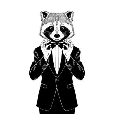 smokin içinde giyinmiş Rakun 