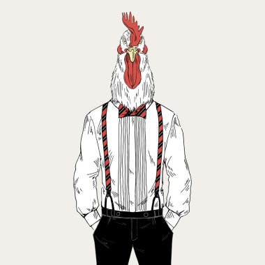 şık tarzda giyinmiş horoz