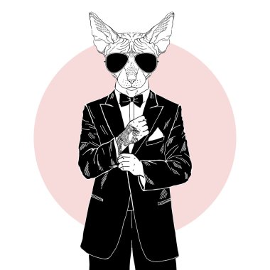 sphinx cat with tattoo dressed up in tuxedo clipart