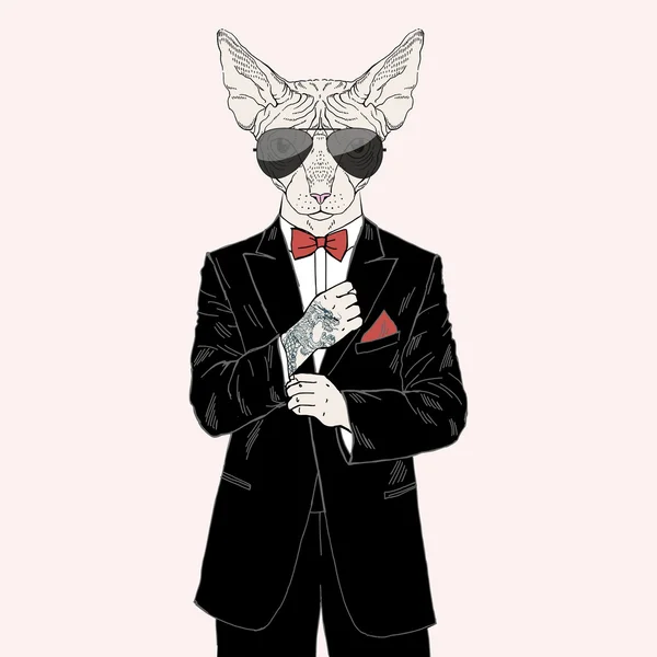 Sphinx cat with tattoo dressed up in tuxedo — Stock Vector