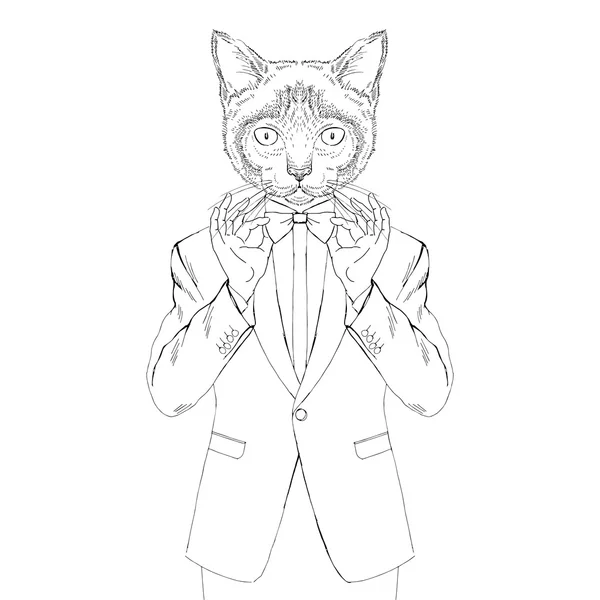 Siamese cat dressed up in tuxedo — Stock Vector