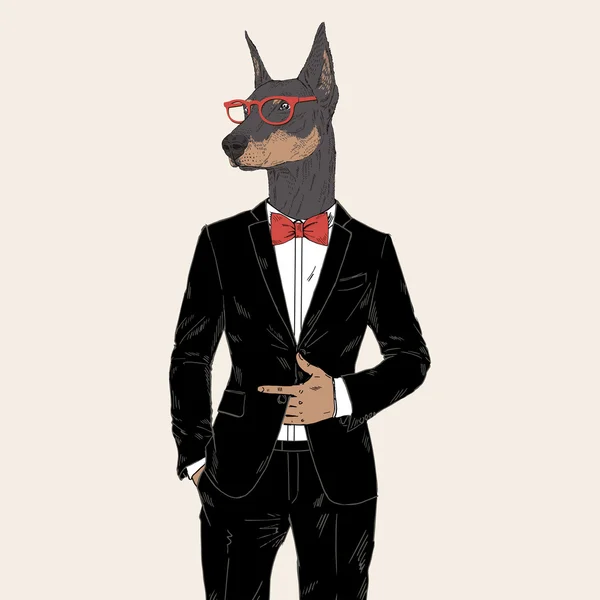 Doberman vestito in smoking — Vettoriale Stock