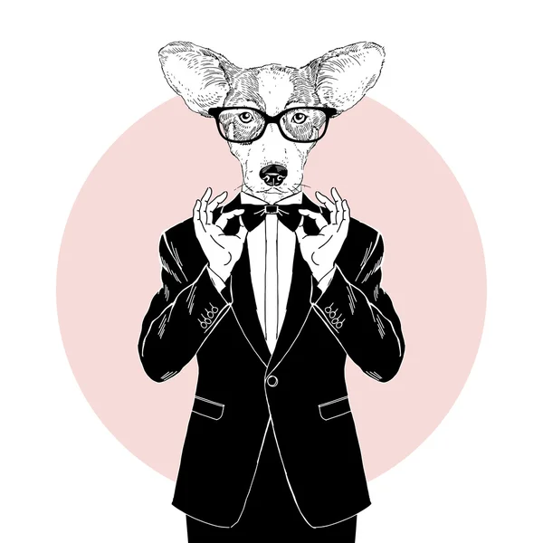 Welsh corgi dressed up in tuxedo — Stock Vector