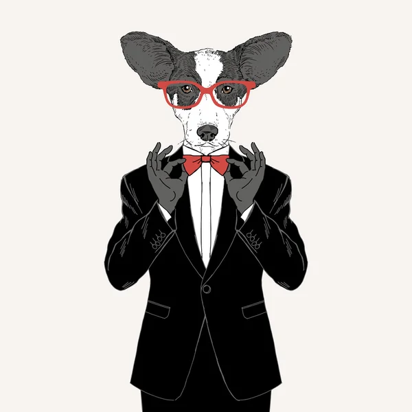 Welsh corgi dressed up in tuxedo — Stock Vector