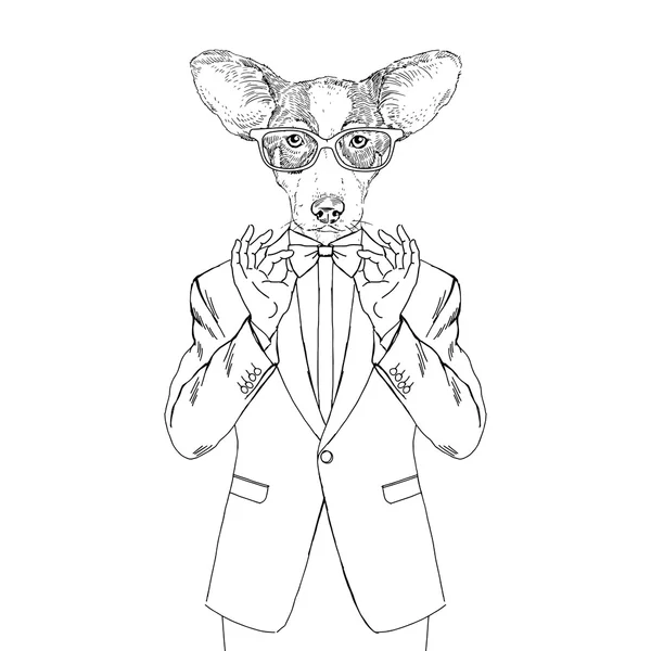 Welsh corgi dressed up in tuxedo — Stock Vector