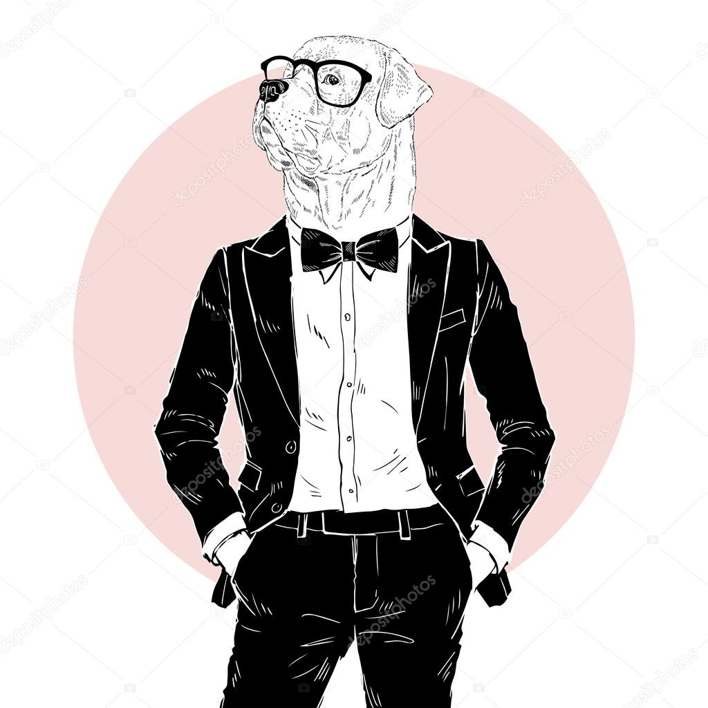 Rottweiler dressed up in tuxedo Stock Vector Image by © #123407718 Rottweiler dressed up in tuxedo Stock Vector Image by © #123407718