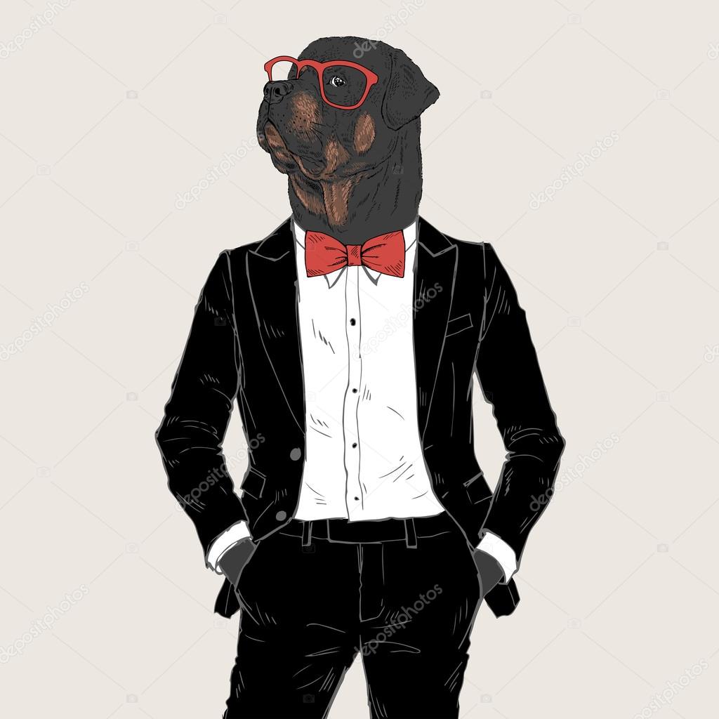 rottweiler dressed up