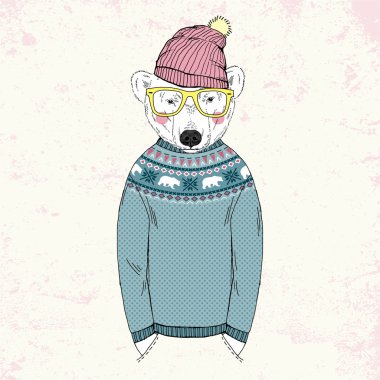 jakarlı kazak kutup ayısı giyinmiş