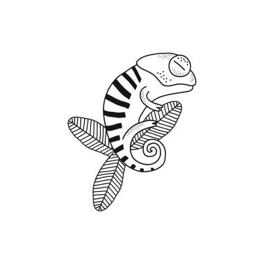 Şirin çizgili bukalemun yaprak izole edilmiş vektör çiziminde uyur.