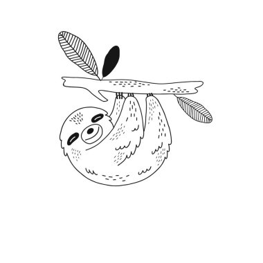 Tembel hayvan dal izole illüstrasyon asılı 